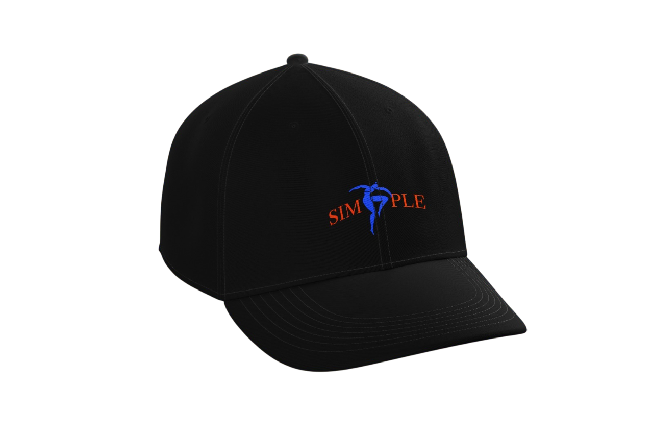 BONE SIMPLE DAD HAT MATISSE